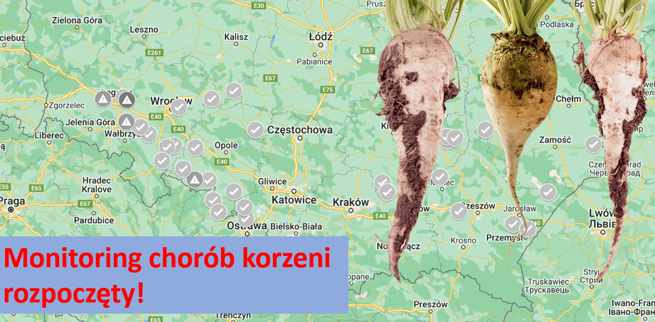 Monitoring Chor B Korzeni S Dzucker Polska