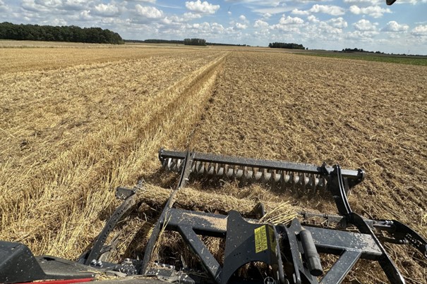 Uprawki pożniwne jako pierwszy zabieg agrotechniczny po zbiorach przedplonu