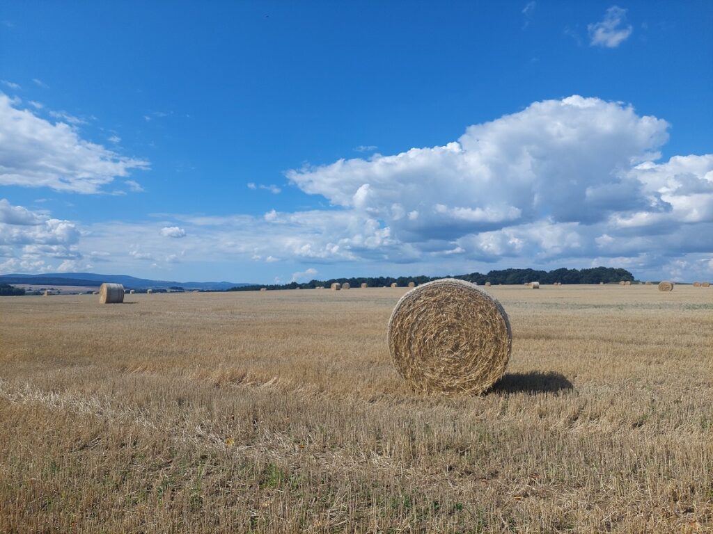 Słoma